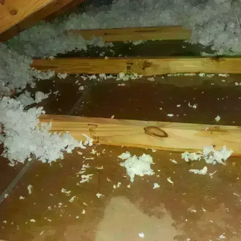 Attic Water Damage in Salina, UT