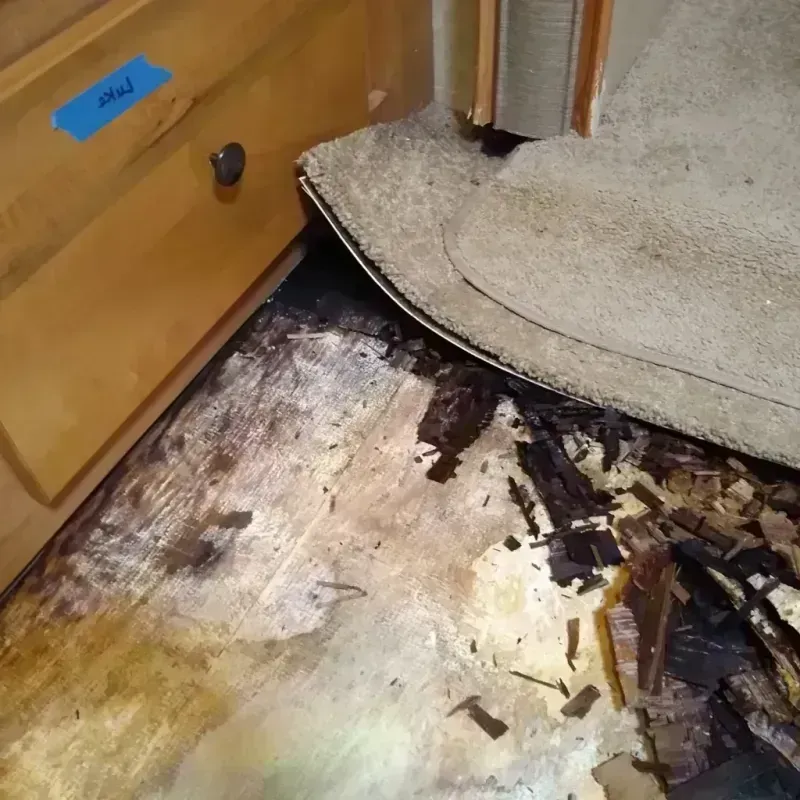 Wood Floor Water Damage in Salina, UT